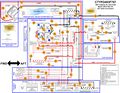 Thumbnail for version as of 14:23, 10 May 2016